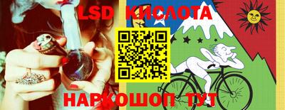 шишки Берёзовский