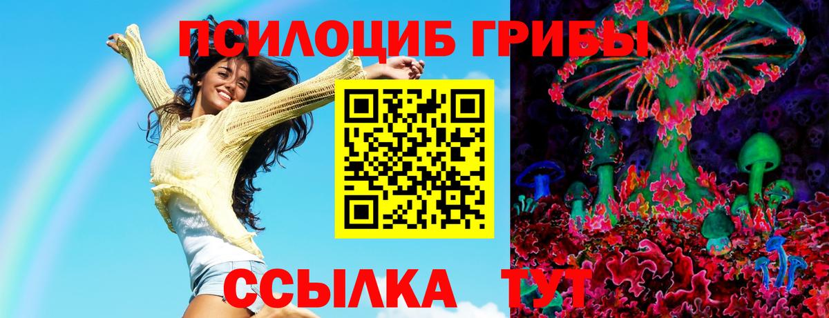 Галлюциногенные грибы мухоморы Волоколамск