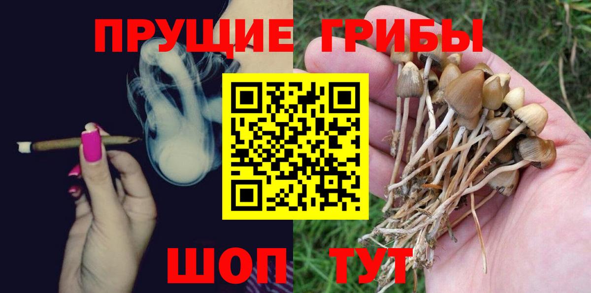 Галлюциногенные грибы Psilocybe  Галлюциногенные грибы Psilocybine cubensis  Вход с VPN  Волоколамск 