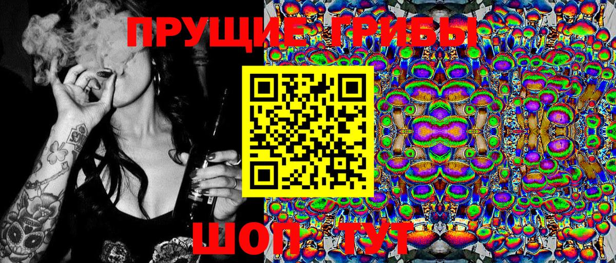 Галлюциногенные грибы прущие грибы  Волоколамск 