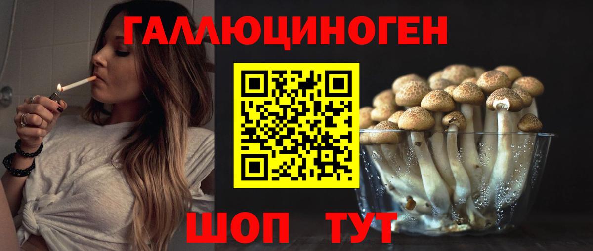 Псилоцибиновые грибы ЛСД  Вход с VPN  наркота  Волоколамск 