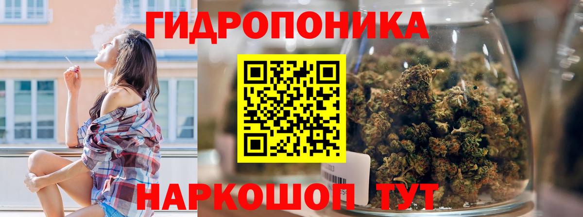 Канабис сатива Волоколамск